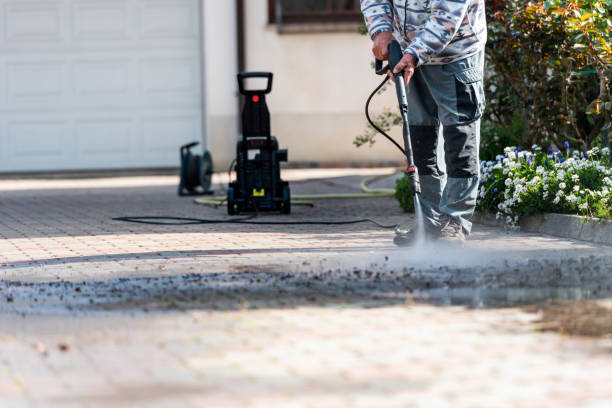 Best House Pressure Washing  in Estherville, IA