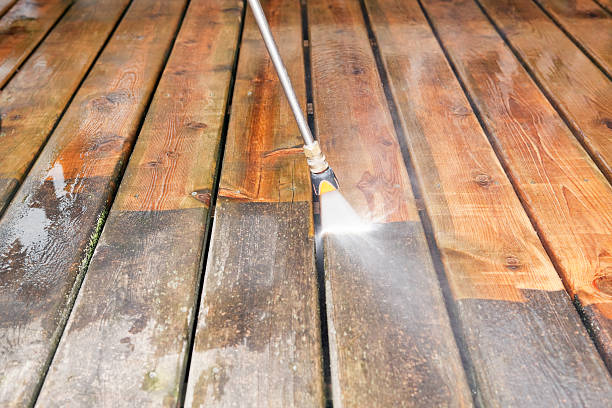 Best Exterior Home Cleaning  in Estherville, IA